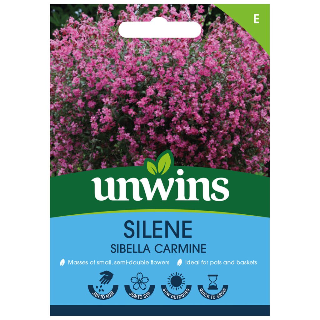 Unwins Silene Sibella Carmine Seeds 5051618025126 2
